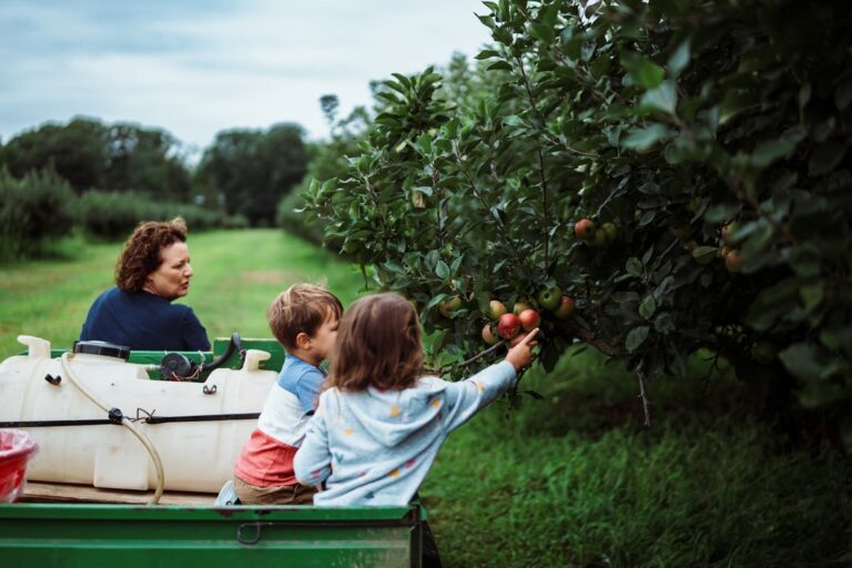 De beste tips voor gezonde kindermaaltijden